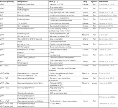 The Contribution of Thalamic Nuclei in Salience Processing